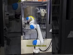 Huayan Hans Robottics İşbirlikçi Robot